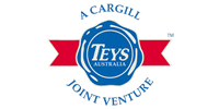 Teys logo